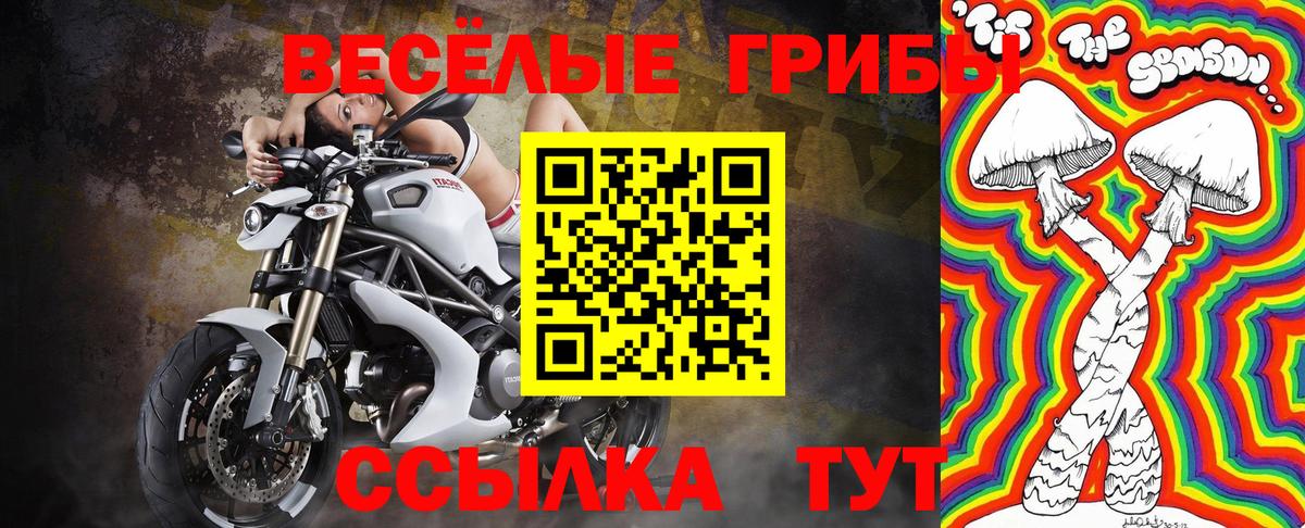Галлюциногенные грибы GOLDEN TEACHER Можайск